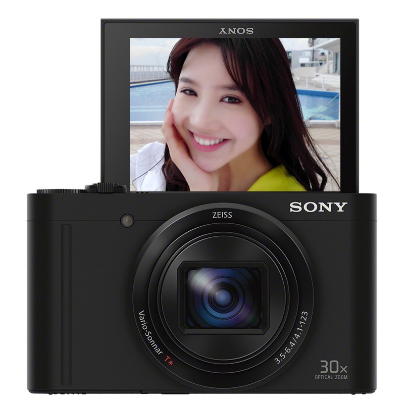 索尼（SONY）DSC-WX500 数码相机 黑色 1820万有效像素 3英寸翻转屏 30倍光学变焦 黑色