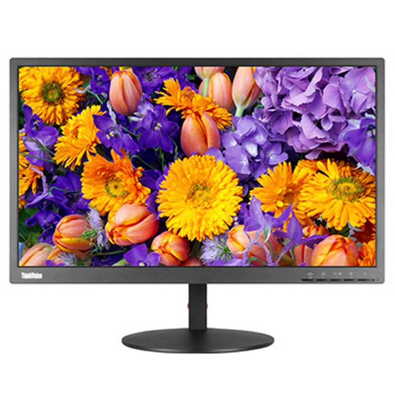 联想（Lenovo） ThinkVision TE24-10 23.8英寸液晶显示器 DP/HDMI/VGA接口 1920X1080 IPS面板 16:9 三年保修 (黑色)